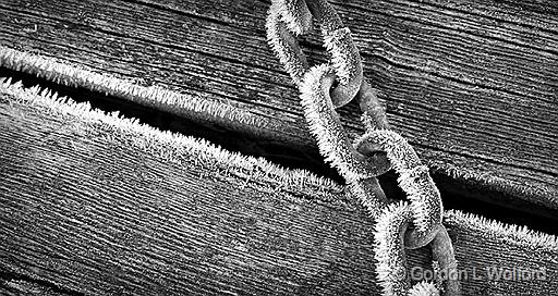 Frosty Chain_P1210407-9.jpg - Photographed near Smiths Falls, Ontario, Canada.